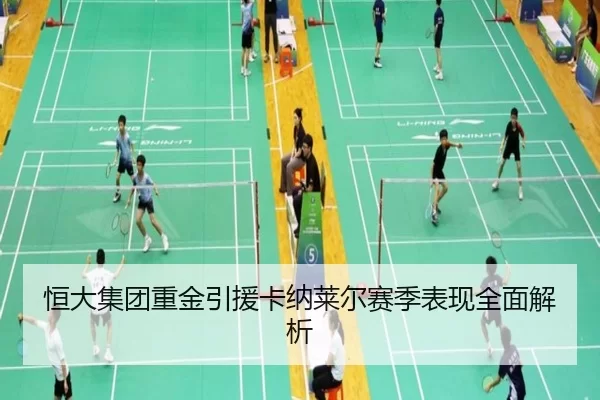 恒大集团重金引援卡纳莱尔赛季表现全面解析